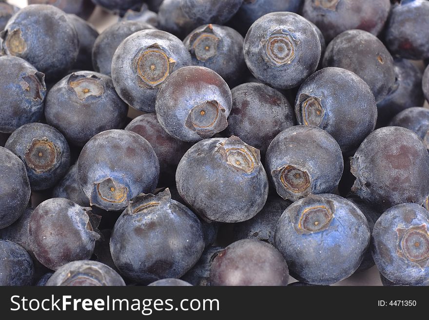 Blueberries isolated on a white background