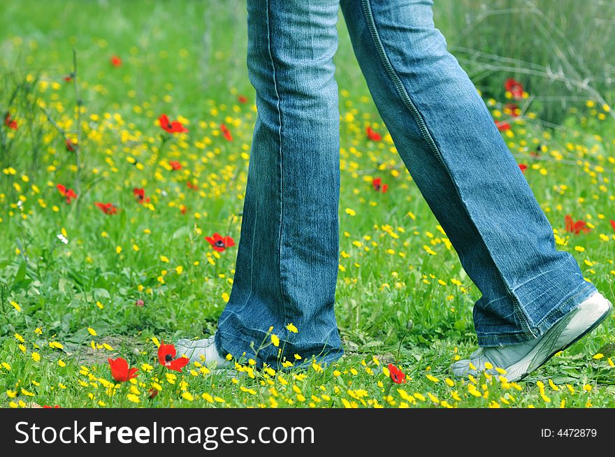 Women legs dresses jeans during walking on the field of windflowers