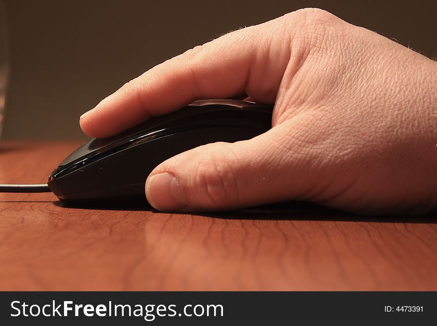 Color portrait of computer mouse and hand. Color portrait of computer mouse and hand