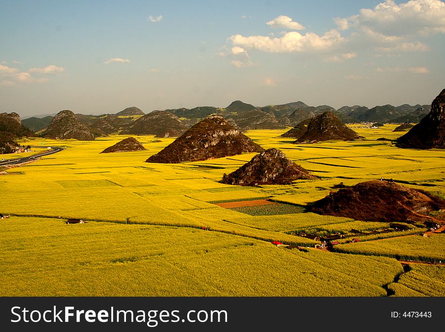 A grand view of rape fields with hills