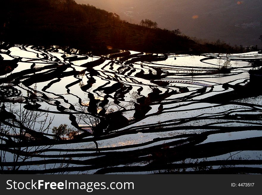 Terrace Field Curve In Sunset