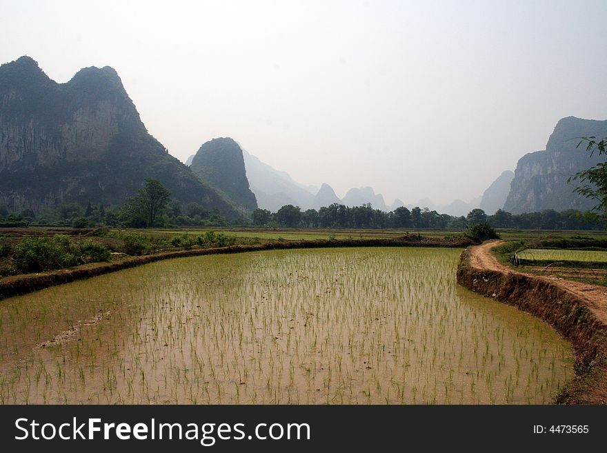 Curve field by the hills at Guilin Guangxi southwest China. Curve field by the hills at Guilin Guangxi southwest China