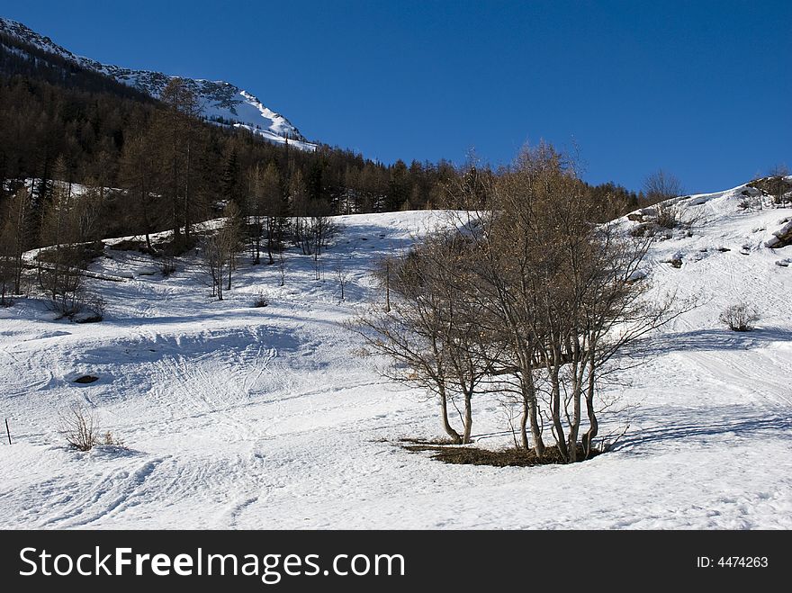 LaThuile, Snow, trees and slop