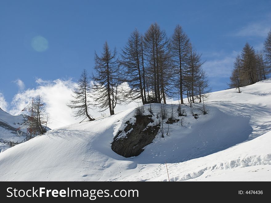 LaThuile, Snow, trees and slopes