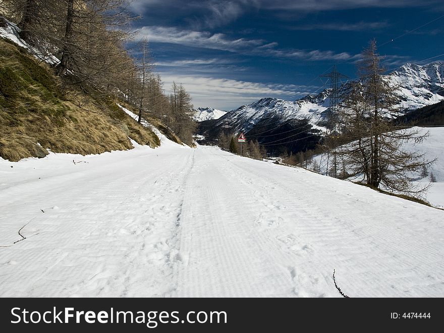 LaThuile, Snow, trees and slopes