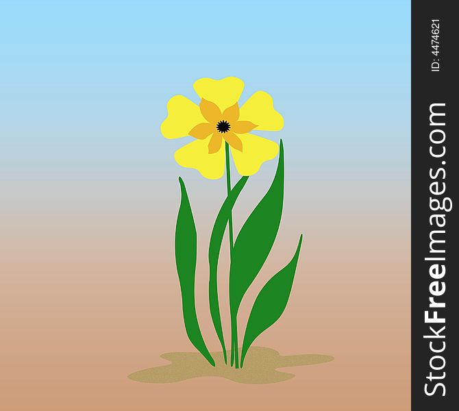 Yellow Flower Illustrated