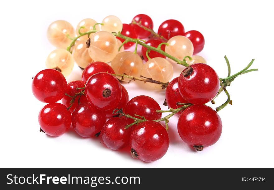 Fresh red and white currants on white
