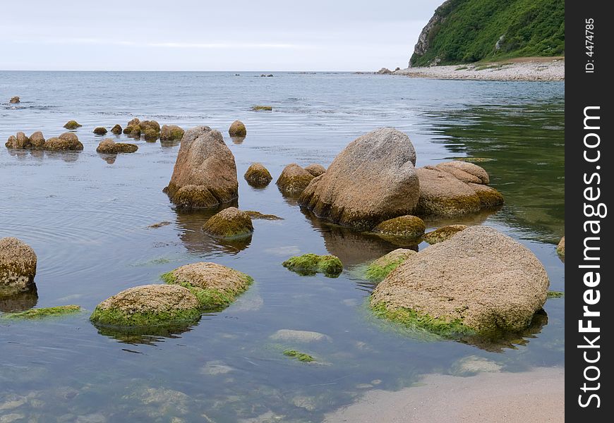 A close-up of the stones in sea. Russian Far East, Primorye. A close-up of the stones in sea. Russian Far East, Primorye.
