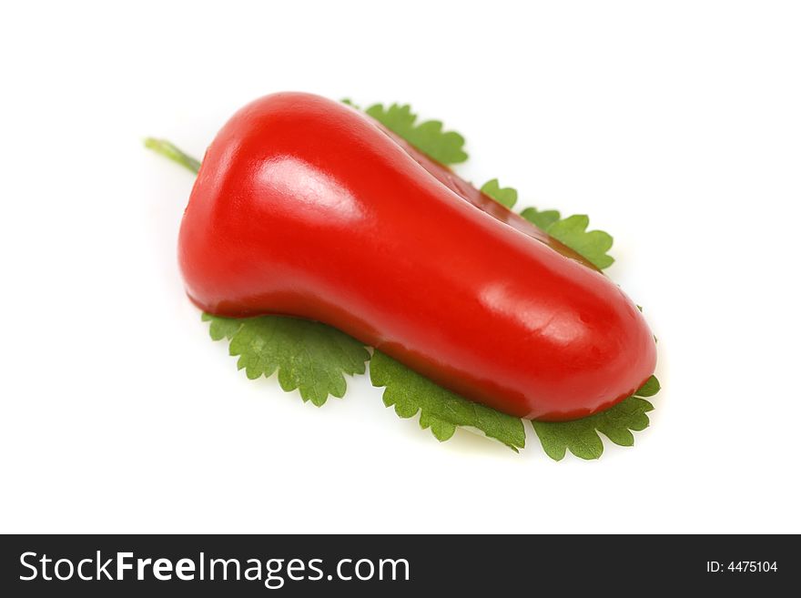 Red pepper on cilantro leaf isolated on white