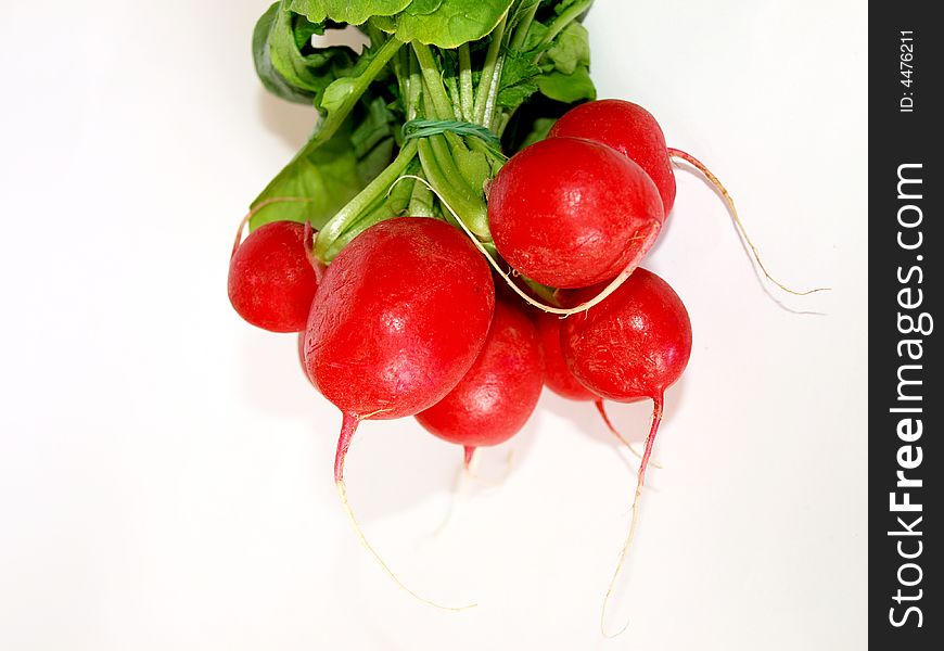 Photo of the radish on the white