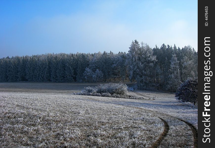 Road Between Frozen Fielads