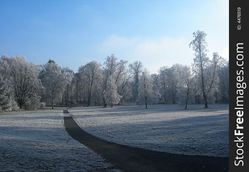 Road and frozen field with forest covered by snow. Road and frozen field with forest covered by snow