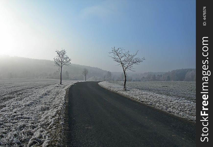 Road between frozen fielads