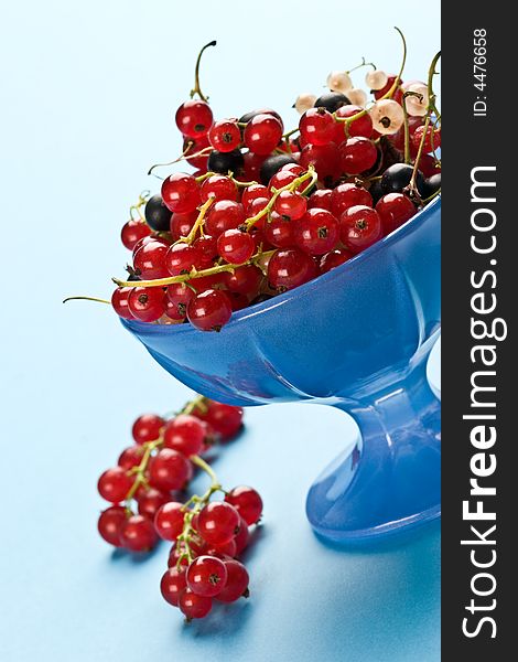 Still life with red currant on the bow