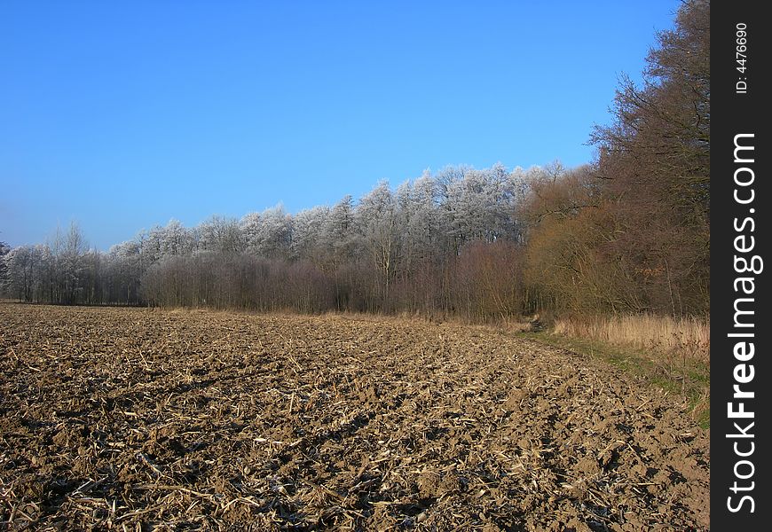 Ploughed field and forest covered with snow in winter. Ploughed field and forest covered with snow in winter