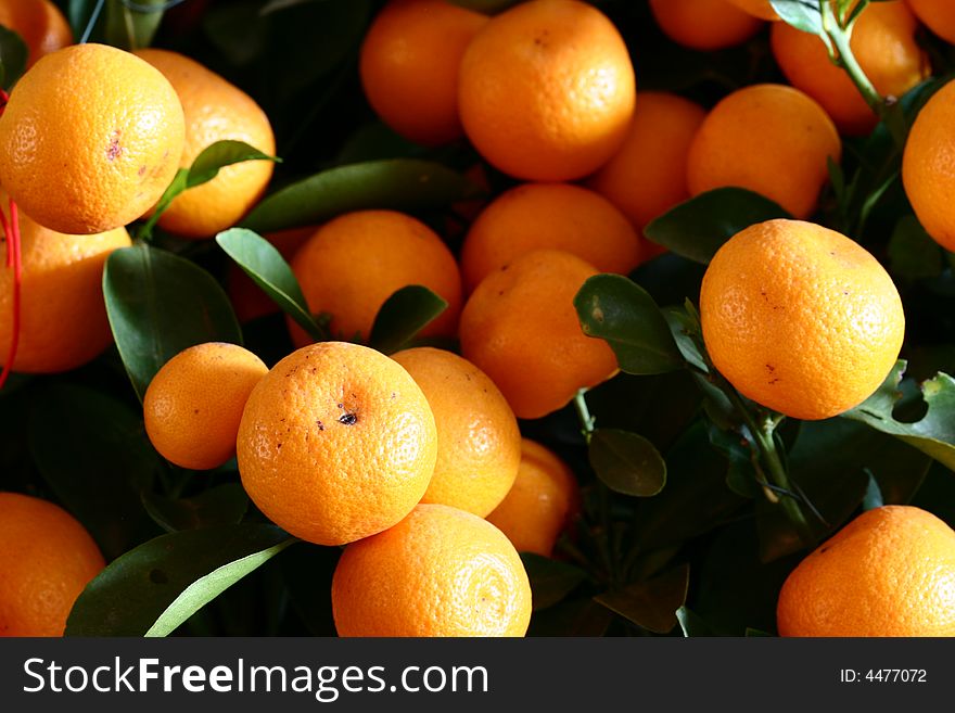The gift of Chinese New Year and Spring Festival ,many oranges