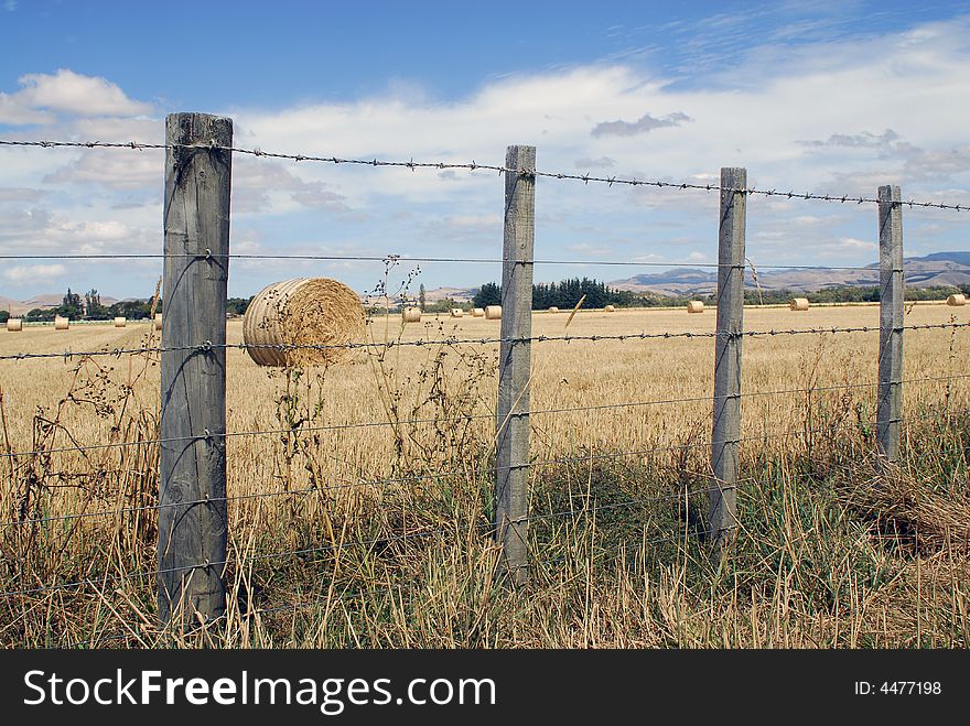 A field full of hay bales in the summertime outside Wellington, in New Zealand. A field full of hay bales in the summertime outside Wellington, in New Zealand