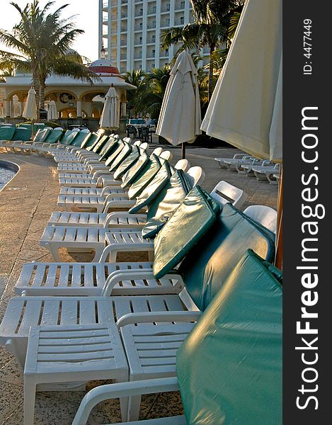 Swimming pool  chairs and green  palms