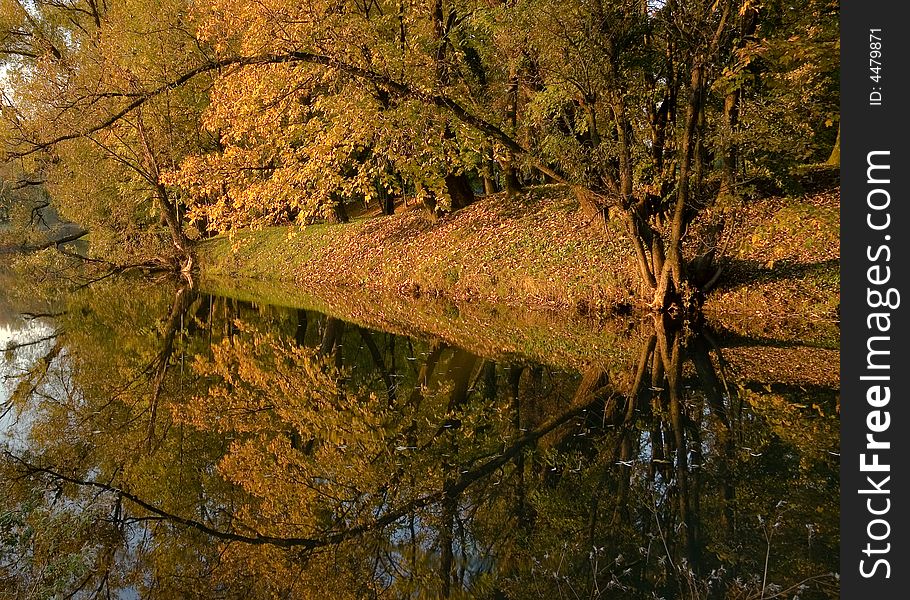 Autumn scenery - lake and colorful forest