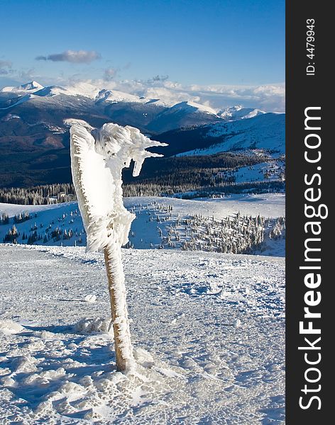 Ice bird figure on the top of the mount in winter resort of Ukraine