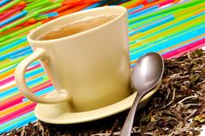 Cup Of The Green Tea Stock Photos Cup Of The Green Tea Stock Photos