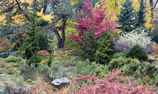 Colors Of Autumn Royalty Free Stock Photo Colors Of Autumn Royalty Free Stock Photo