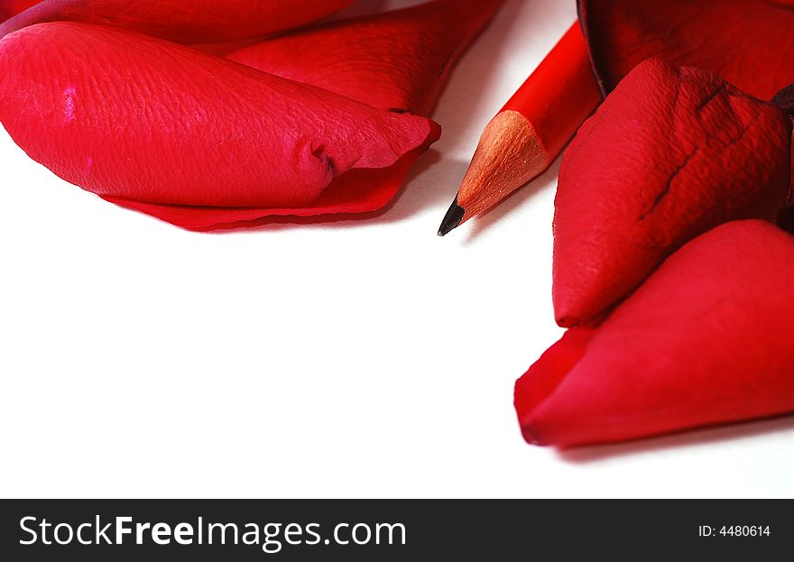 Lovely rose petals frame isolated on white. Lovely rose petals frame isolated on white