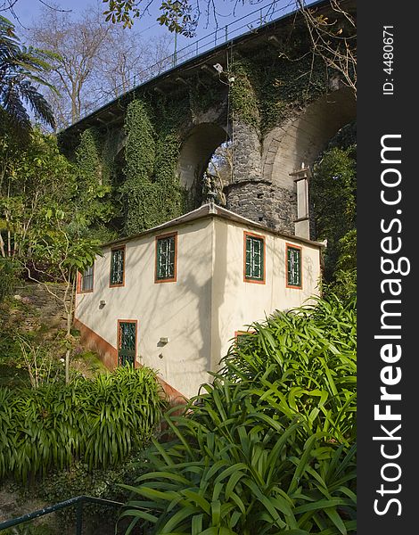 Garden in Madeira Island - Atantic Ocean _ Portugal