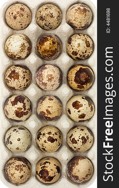 Close-up many spotted quail eggs in box