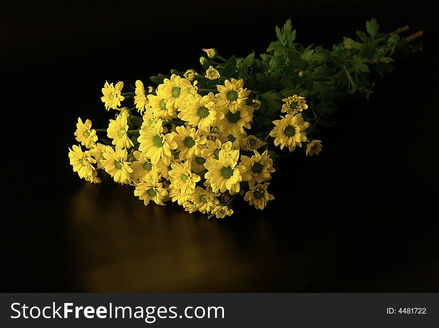 Bunch of yellow daisies on black background