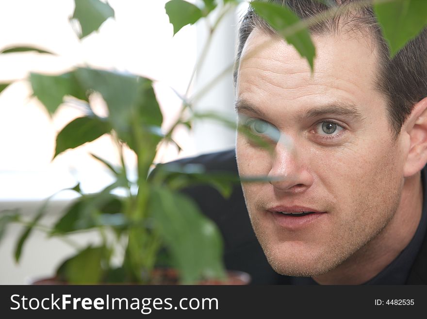 A business man hides behind the plant in his office. A business man hides behind the plant in his office