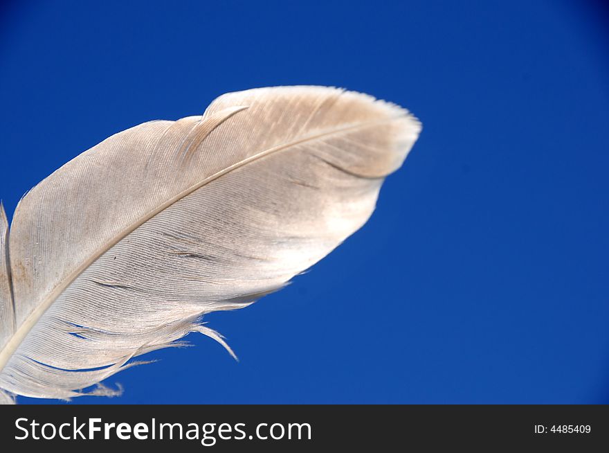 A view with a feather against blue sky