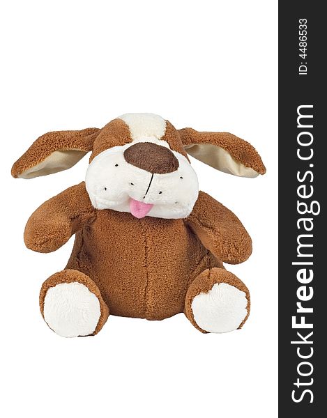 Plush dog on the white background