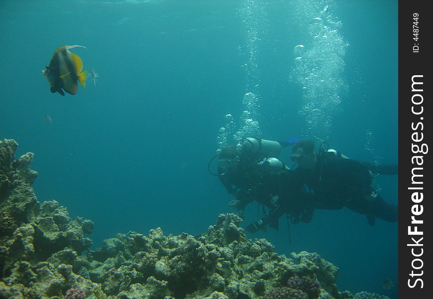 Employment(Occupation) underwater Ð´Ñ€Ð°Ð¹Ð²ÐµÐ½Ð³Ð¾Ð¼ in the red sea