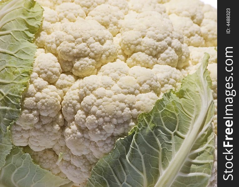 Close-up cauliflower studio isolated on white