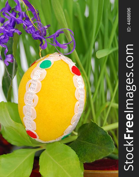 Easter egg with green grain and foliage