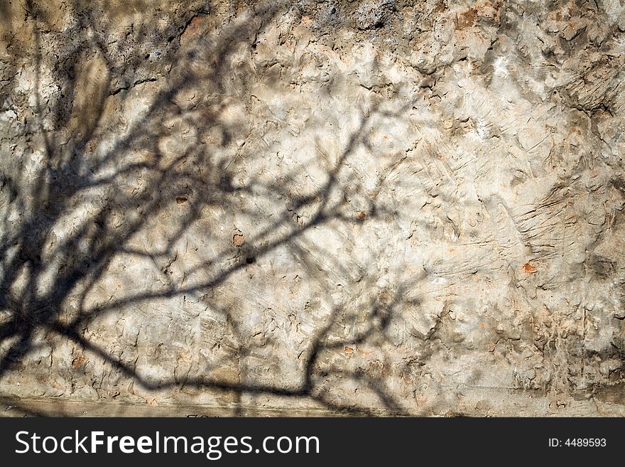 Shadow from a tree on an old wall. Shadow from a tree on an old wall