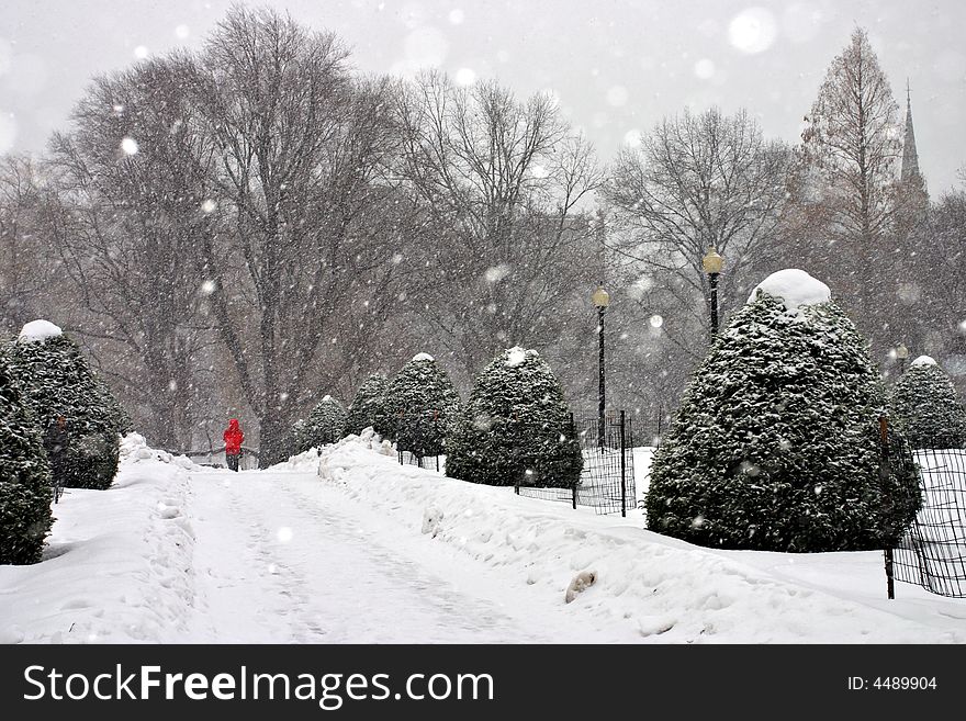 Stock image of a snowing winter at Boston, Massachusetts, USA. Stock image of a snowing winter at Boston, Massachusetts, USA