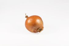 Onion Royalty Free Stock Image Onion Royalty Free Stock Image