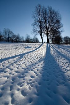Winter At The Park Royalty Free Stock Photos Winter At The Park Royalty Free Stock Photos