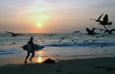 Sunset Surfer Royalty Free Stock Images Sunset Surfer Royalty Free Stock Images