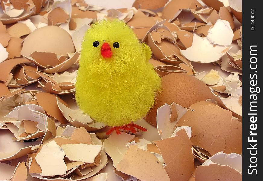 Easter yellow chicken on eggs shells, eastern table. Easter yellow chicken on eggs shells, eastern table