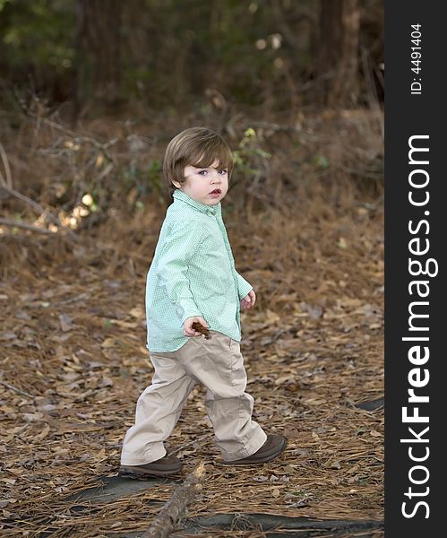 Little boy walking thru leaves. Little boy walking thru leaves