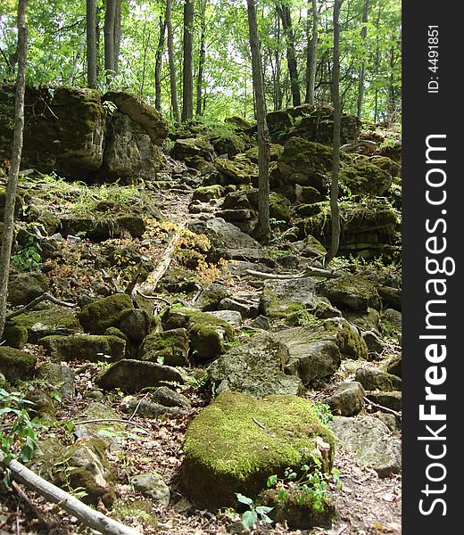 A path made from the times of ages over the stones of Hilton Falls, On. A path made from the times of ages over the stones of Hilton Falls, On.