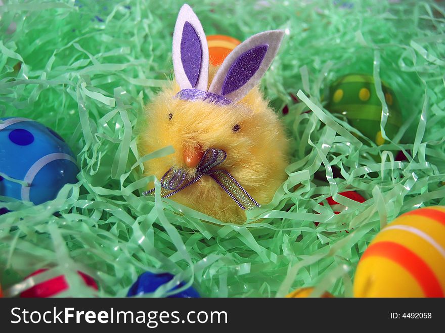 Cute chick wearing bunny ears. Cute chick wearing bunny ears.