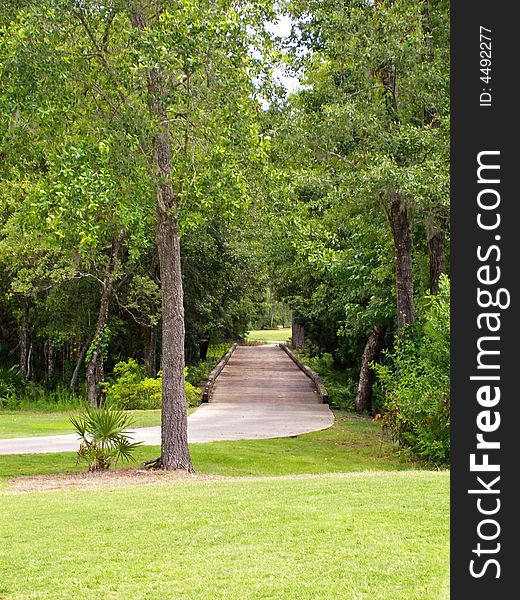 A small wooden bridge leading to the next hole. A small wooden bridge leading to the next hole.