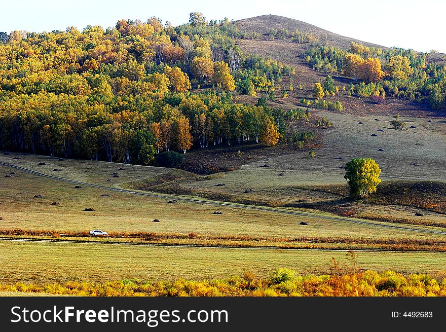 This is the beuatiful grassland in autumn which there are few pepole to come, this is the best place to photography