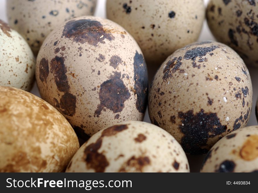 Quail mottled eggs close up