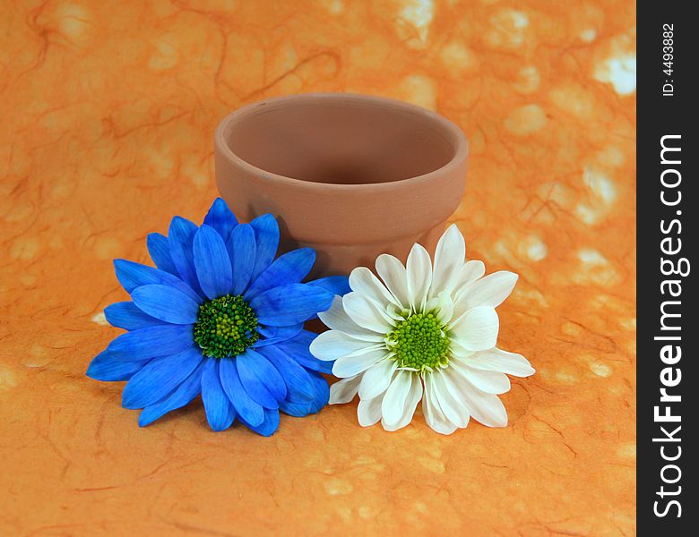 A blue daisy and a white daisy with a terracotta flowerpot on a textured orange background. A blue daisy and a white daisy with a terracotta flowerpot on a textured orange background.