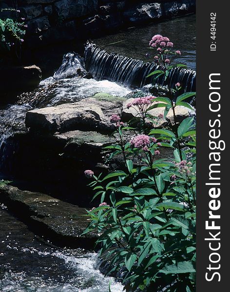 A small waterfall located at the bottom of a creek. A small waterfall located at the bottom of a creek